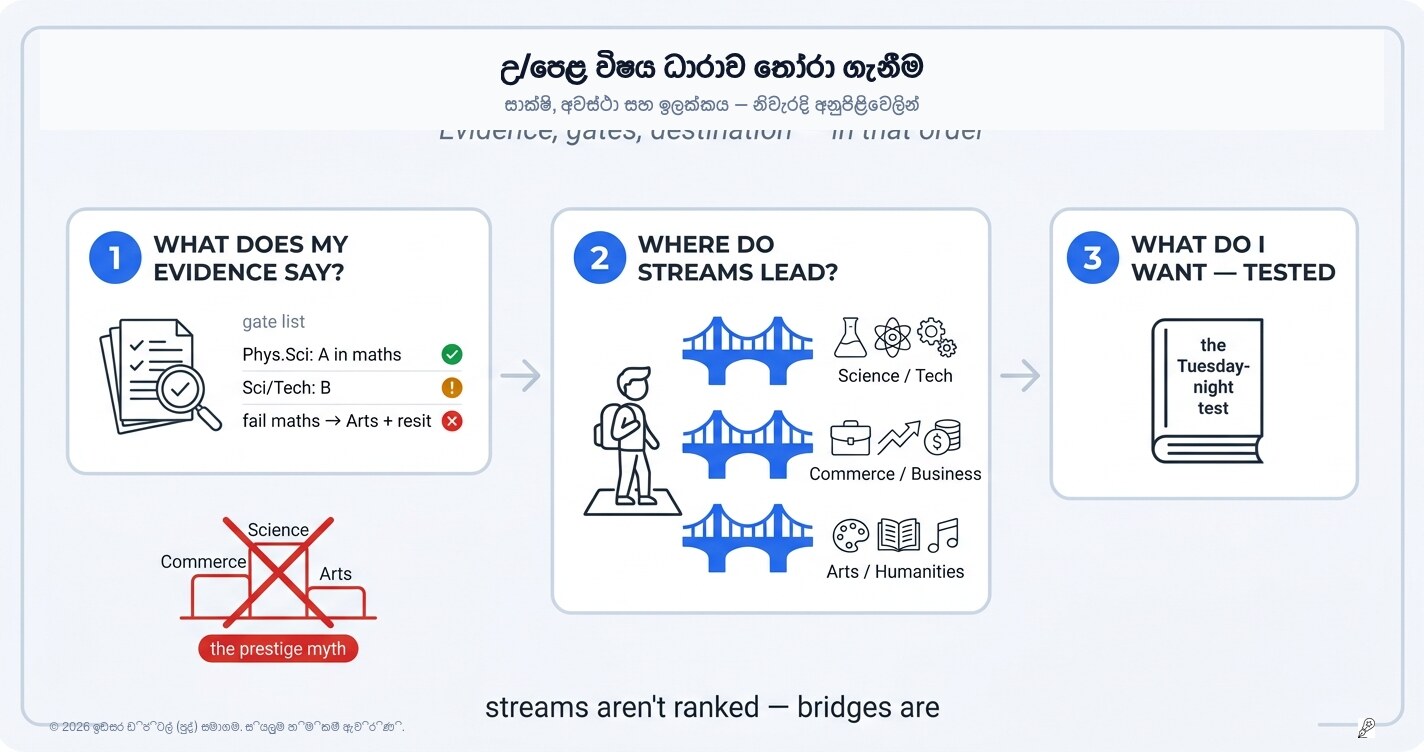 O/L වලින් පසු: "නම්බුව" නිසා නොව "සාක්ෂි" මත පදනම්ව ඔබේ විෂය ධාරාව තෝරාගනිමු