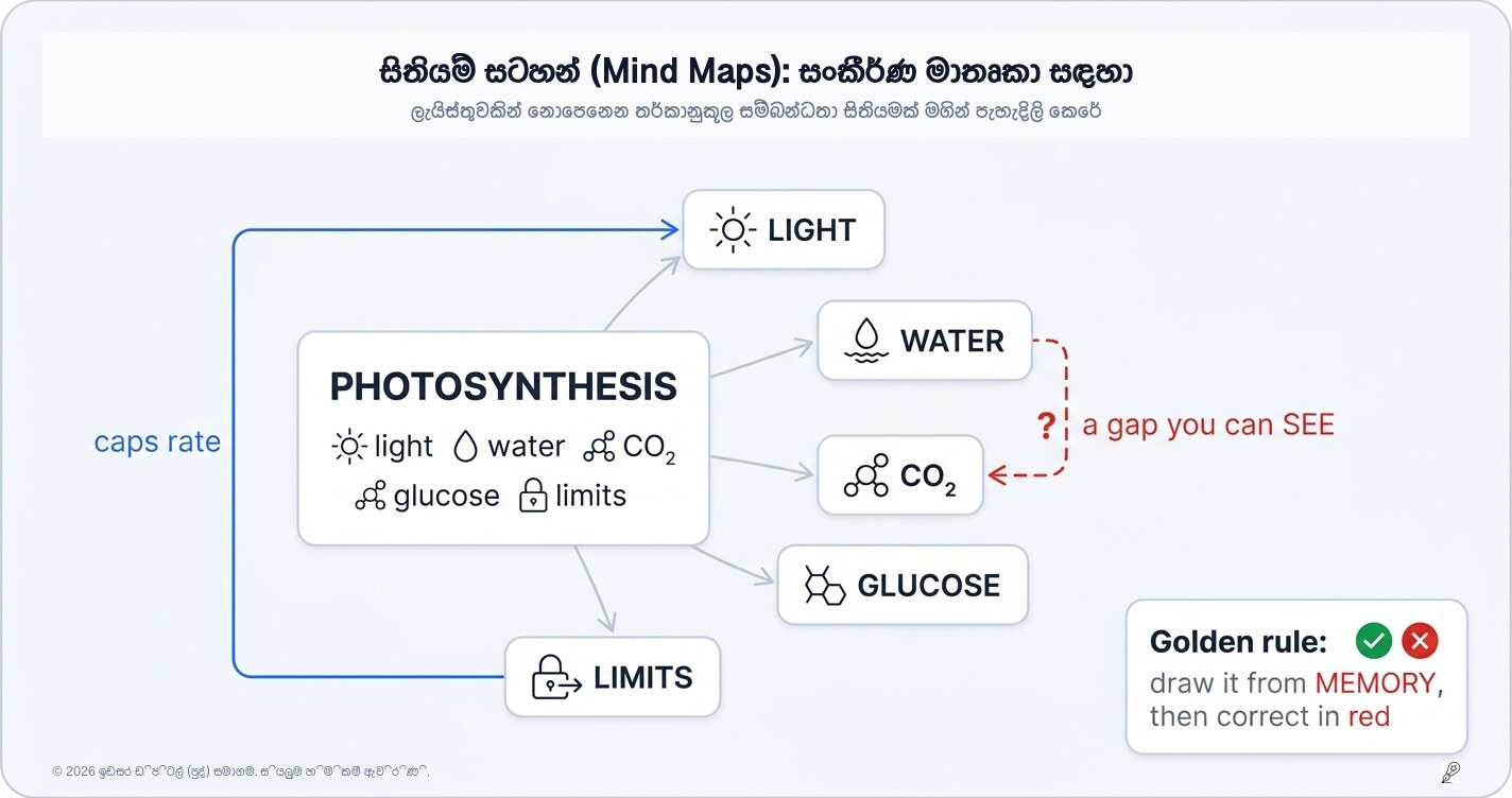 මයින්ඩ් මැප් මඟින් ඔබේ කෙටි සටහන් වඩාත් සාර්ථක කරගන්නේ කොහොමද?