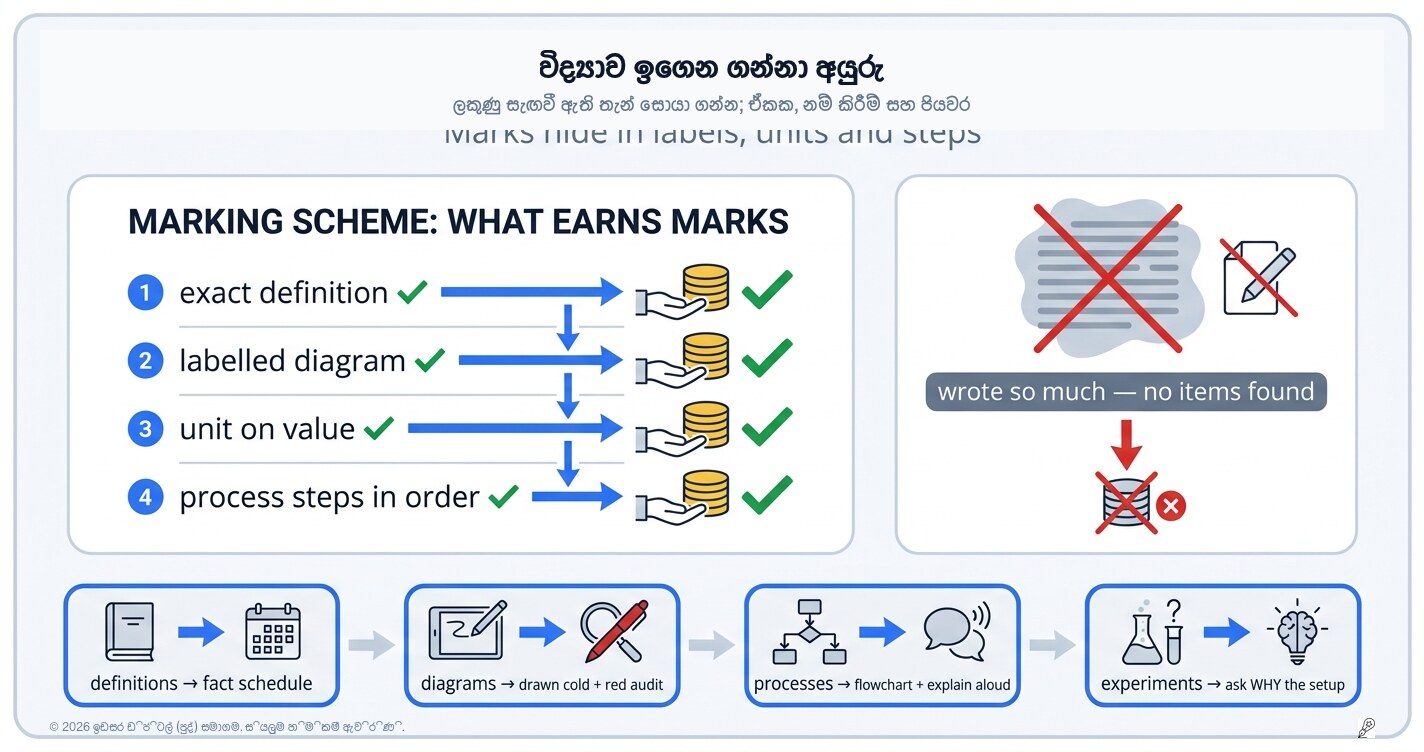 විද්‍යාව පාඩම් කරන ක්‍රමය: ලකුණු හැංගිලා තියෙන ලේබල් සහ ඒකක සොයා ගැනීම
