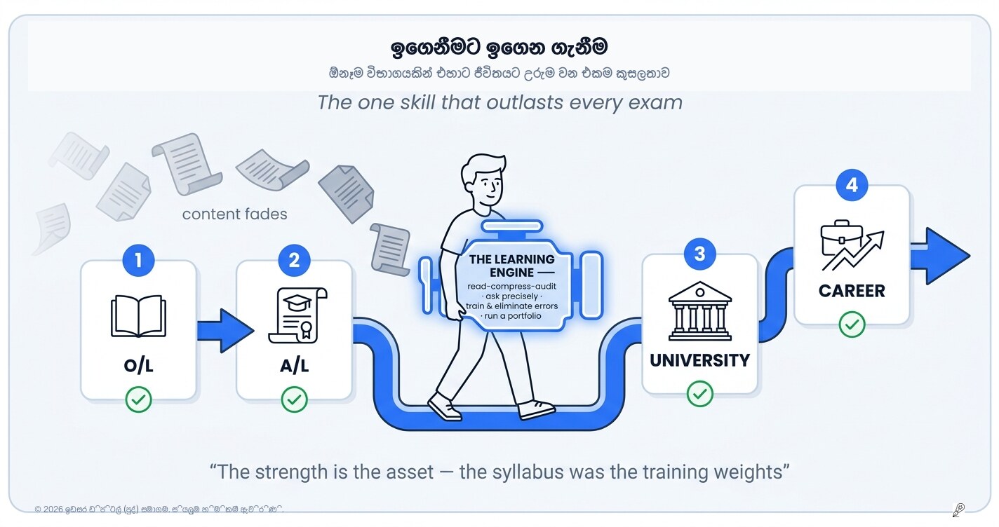 ඉගෙන ගන්නා ආකාරය ඉගෙන ගැනීම: විභාගවලින් ඔබ්බට පවතින එකම දක්ෂතාවය