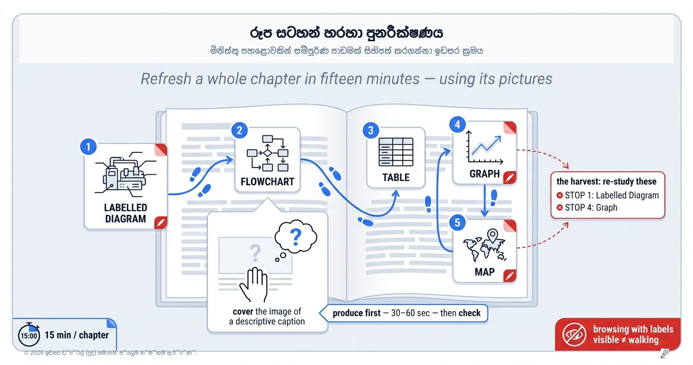 The Figure Walk: Refresh a Whole Chapter in Fifteen Minutes Using Its Pictures